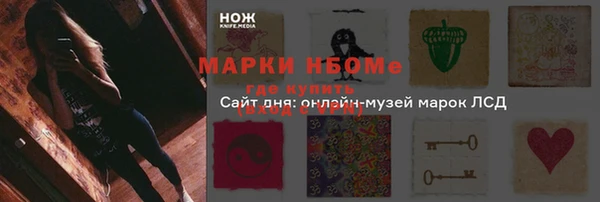СК Алексин