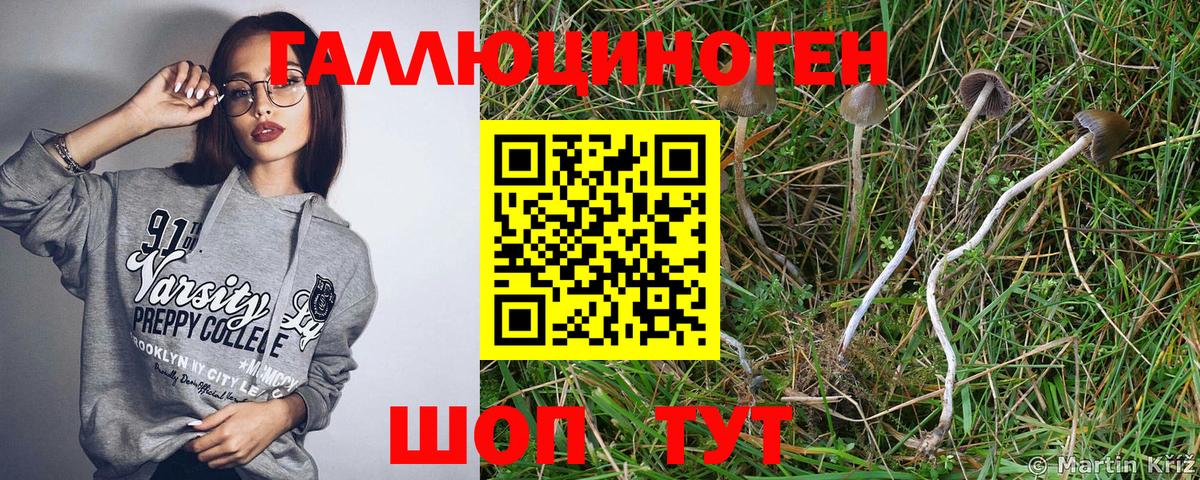Галлюциногенные грибы GOLDEN TEACHER  закладки  Ачинск  Вход с VPN 